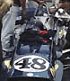 gurney's bird